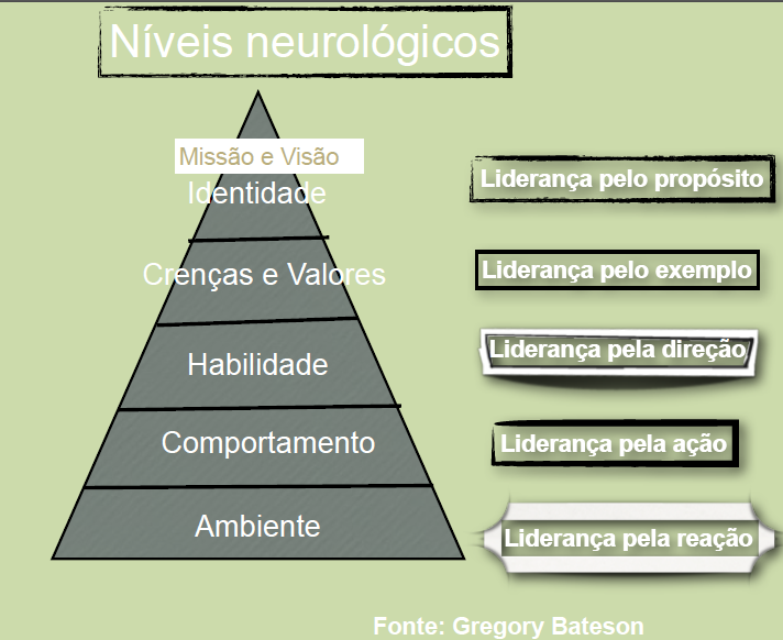 Níveis Neurológicos